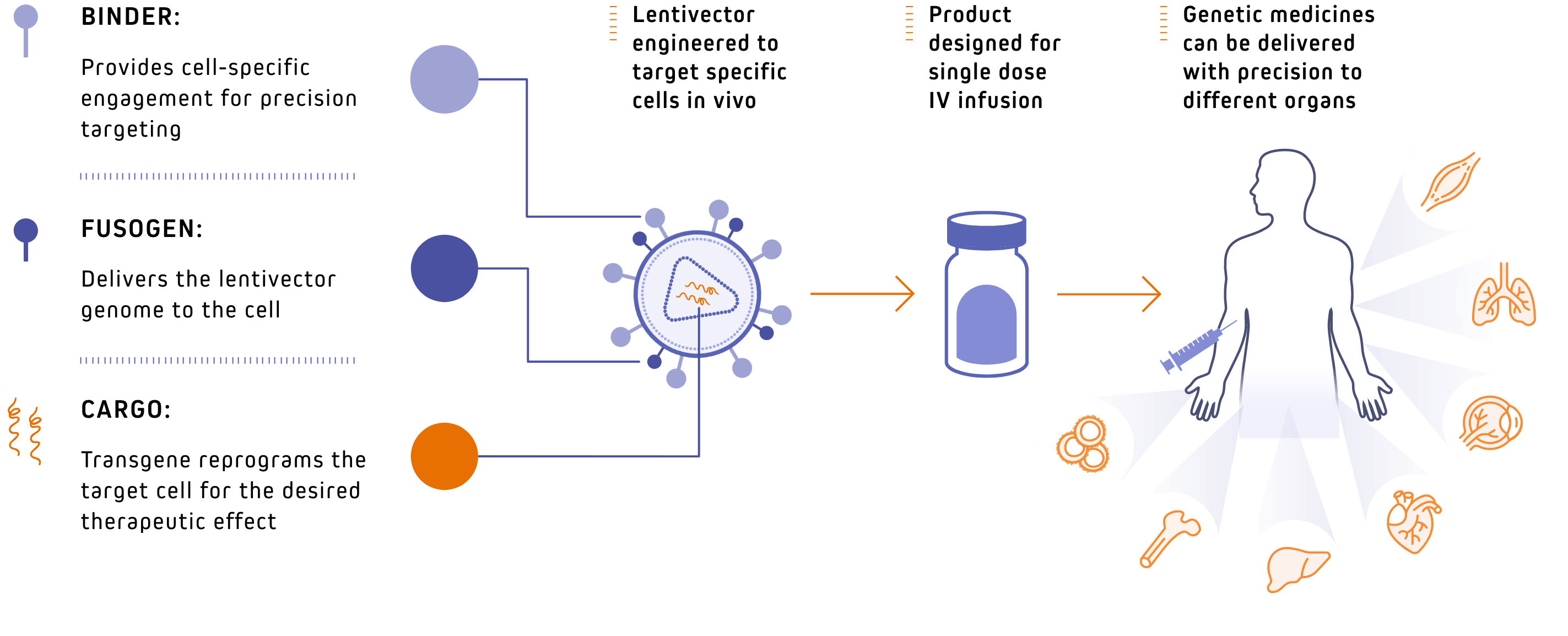 Interius Modular Vectors Graphic